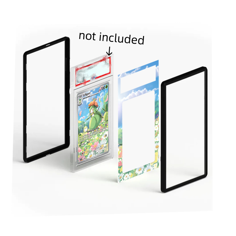 Espositore per Carte da Collez - Model Kit Rayquaza recensione e prezzo